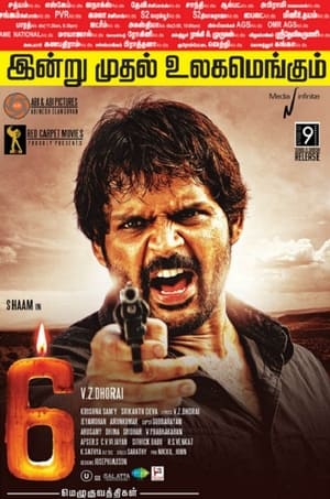 6 Candles (2013) Hindi Dubbed [950MB] HD Poster Download - filmyfly