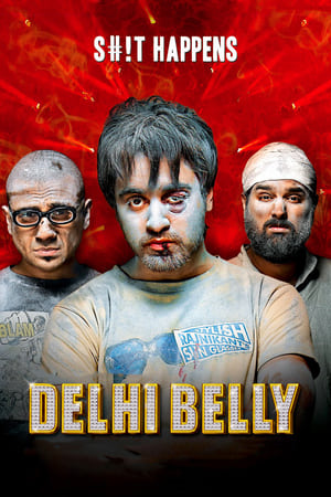 Delhi Belly 2011 Full Movie Download [750MB] HD Poster Download - filmyfly