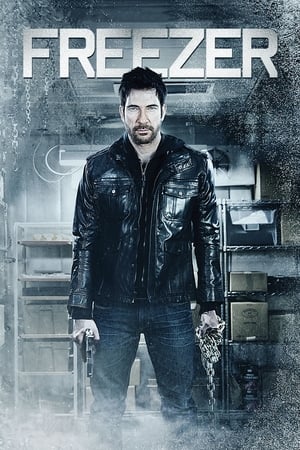Freezer (2014) Hindi Dual Audio 250MB HD Poster Download - filmyfly