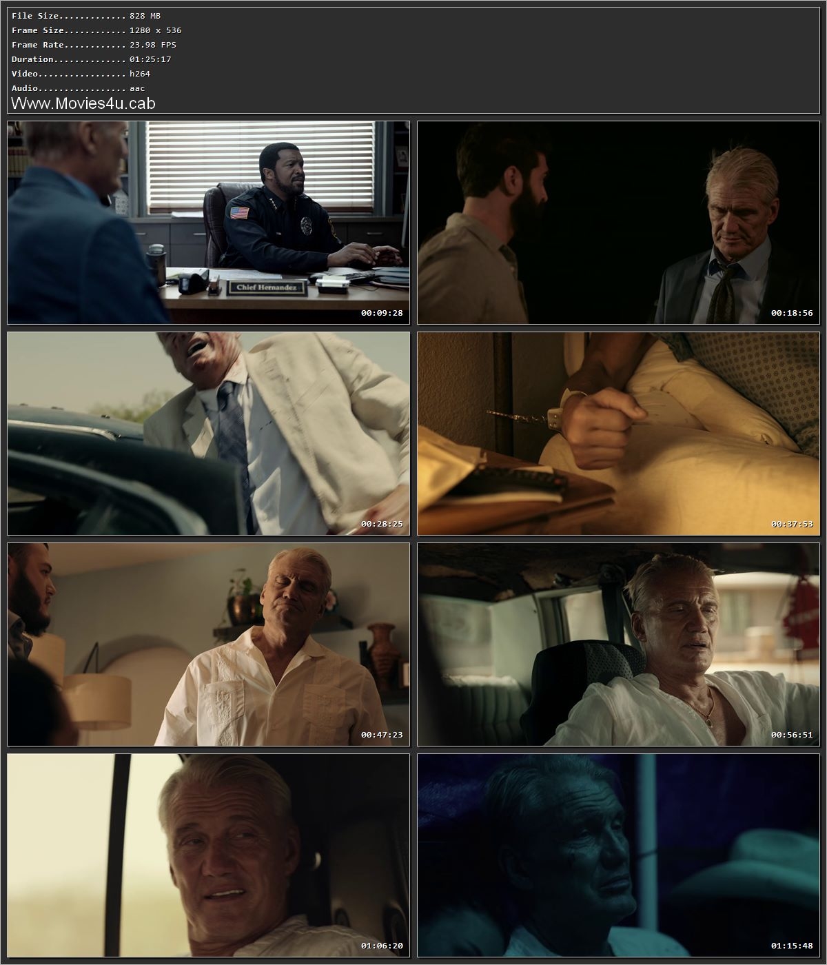 Movie Screenshot