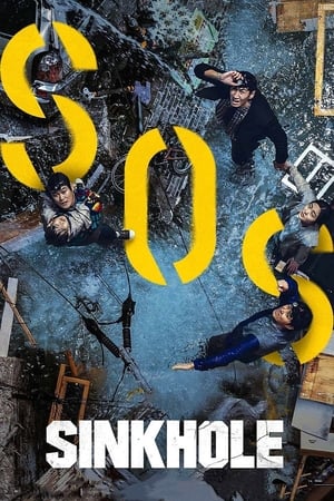 Sinkhole (2021) Hindi Dual Audio – 720p – HD Poster Download - filmyfly